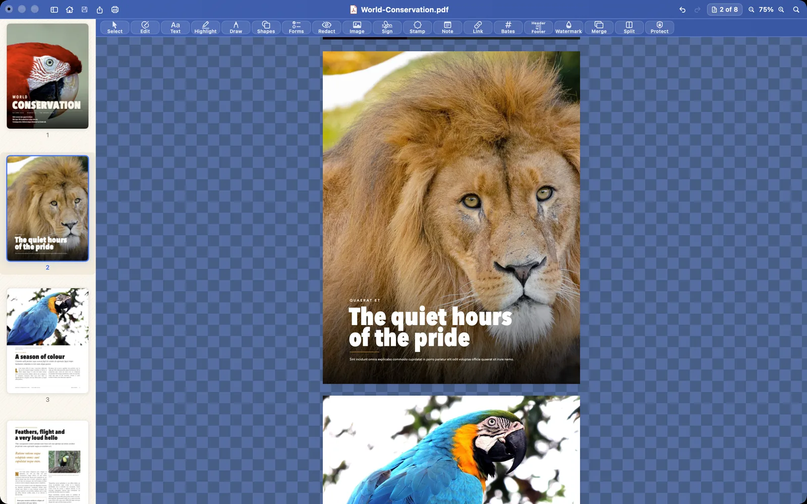 Papayra for Mac with the page sidebar open beside a magazine spread of zebras and a giraffe.