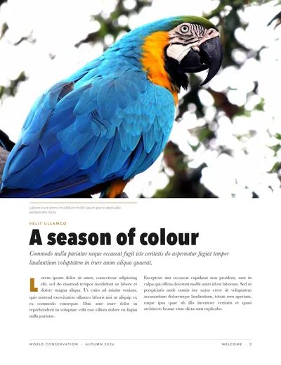 Page 2: A season of colour, with a blue-and-gold macaw.