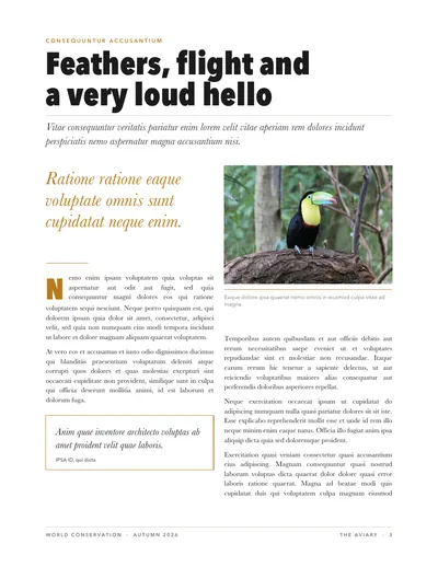 Page 3: Feathers, flight and a very loud hello, with a toucan.