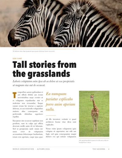 Page 6: Tall stories from the grasslands, with zebras and a giraffe.