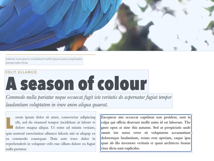 A paragraph being edited in Papayra for Mac: white with a blue frame and handles, a new sentence typed in the page’s own typeface, the other blocks in light blue.