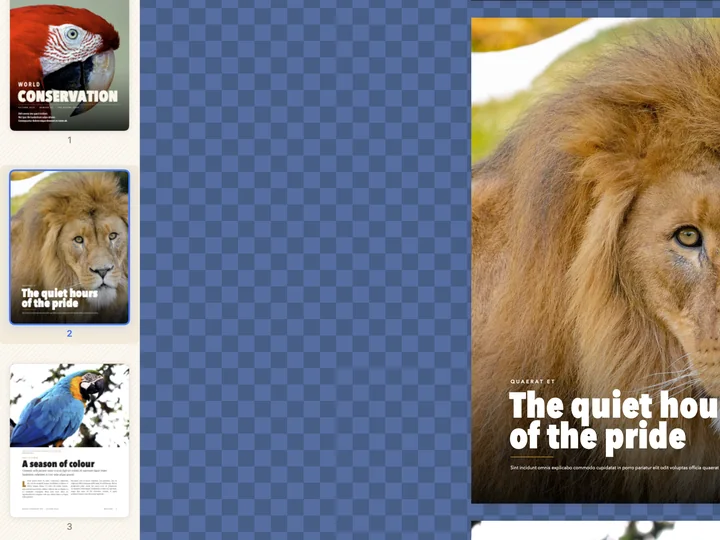 The page sidebar with the magazine’s pages as thumbnails beside a page of zebras.